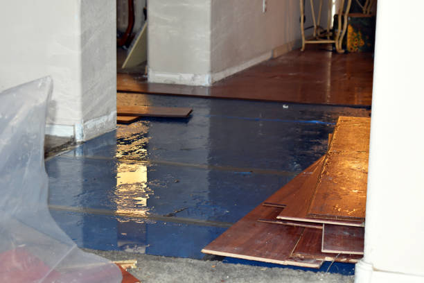 Professional Sewage Cleanup technician working in Hugo, OK